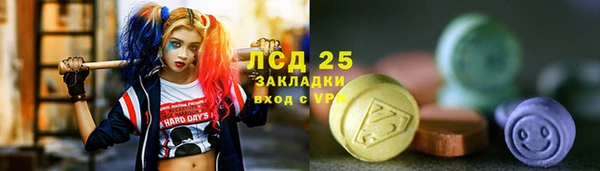 эйфоретик Новодвинск
