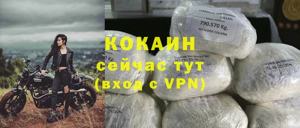 эйфоретик Новодвинск