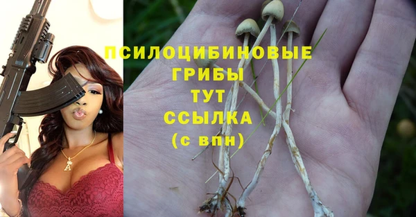 эйфоретик Новодвинск
